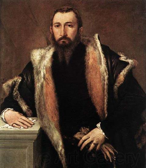 Lorenzo Lotto Portrait of Febo da Brescia Spain oil painting art